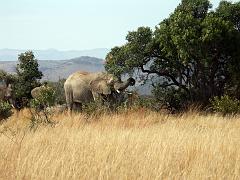 090516_Pilanesberg 144